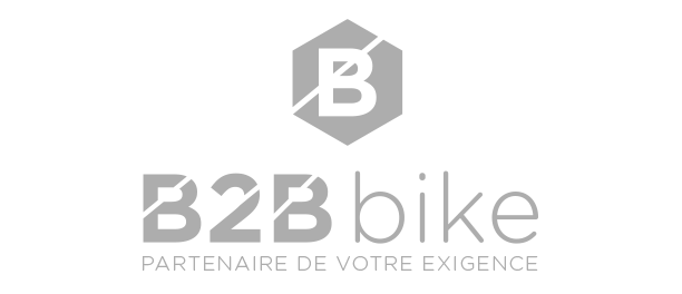 B2B bike